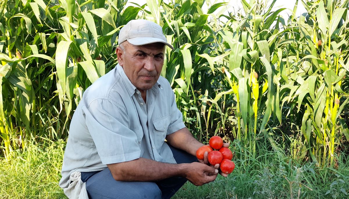 Овощевод из Унджи: «Повышение стоимости сельхозпродуктов - не дело рук фермеров»