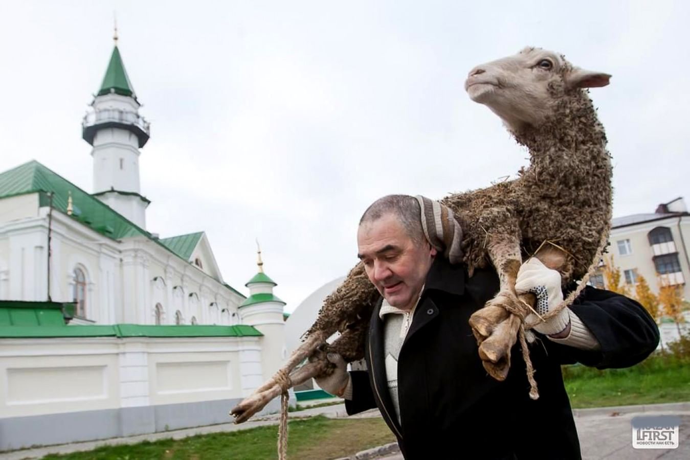 Чӣ мумкину чӣ не? Қоидаҳои “қурбонӣ” дар Иди Қурбон