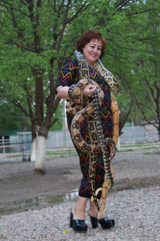 Мадина ва морҳои ӯ