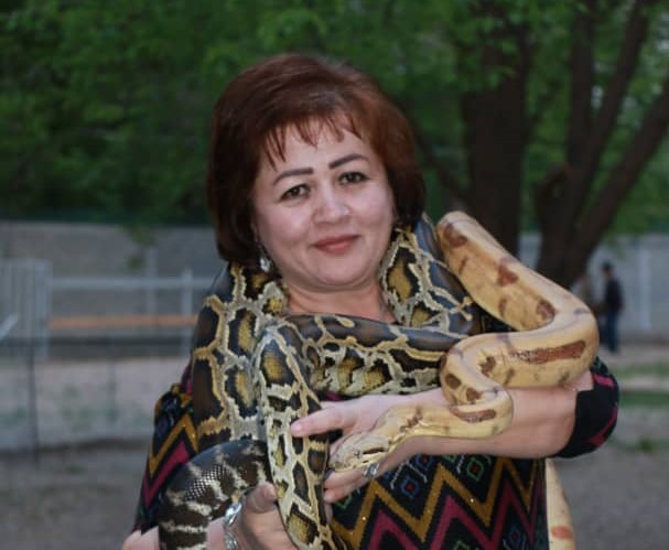 Дӯстӣ бо тарсноктарин намояндаи олами вуҳуш. Чӣ тавр Мадина бо морҳо беш аз 15 сол боз дӯстӣ мекунад
