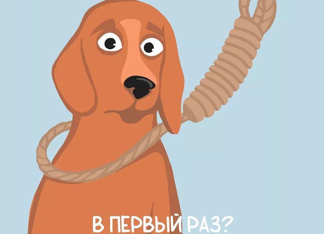 МВД: собаку на столбе повесили подростки. Она якобы уже была мертва