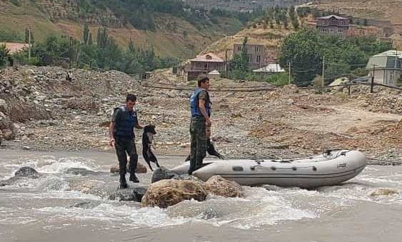 Наҷотдиҳандагон сагеро аз дарёи Варзоб бароварданд