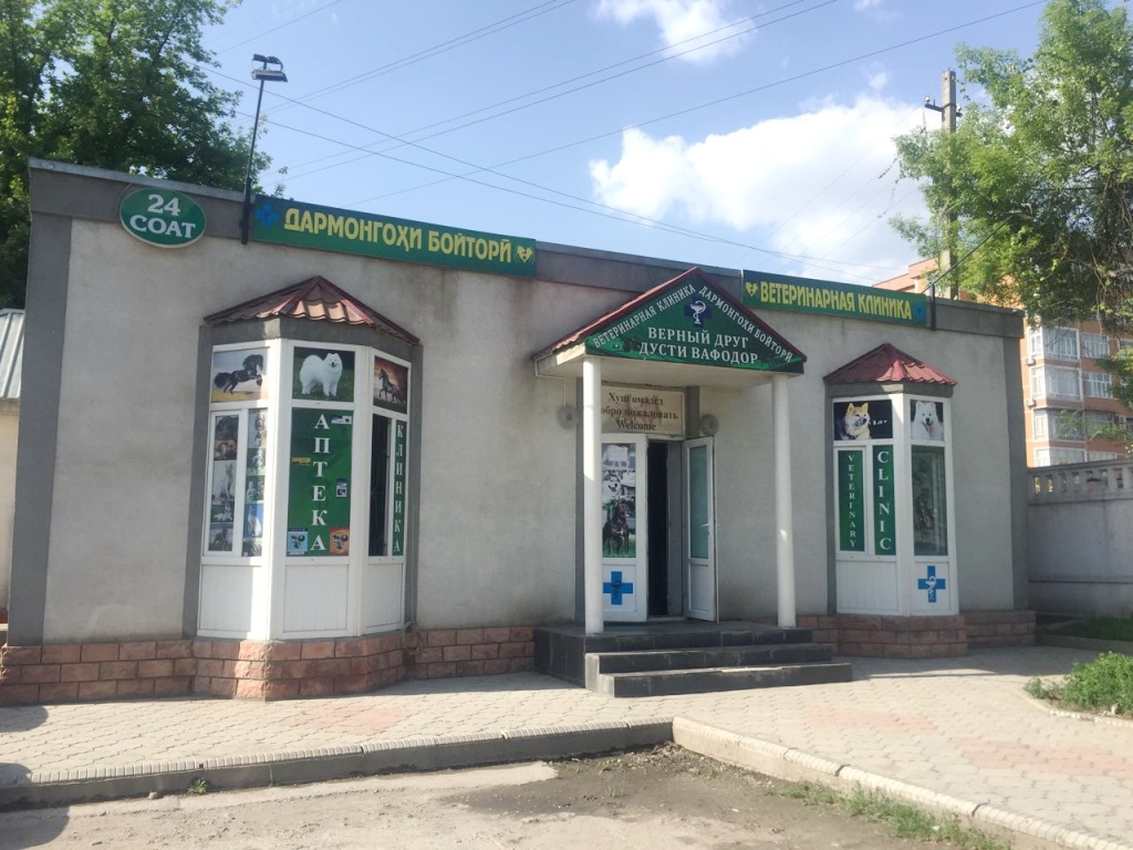 Ветеринарная клиника "Верный друг"