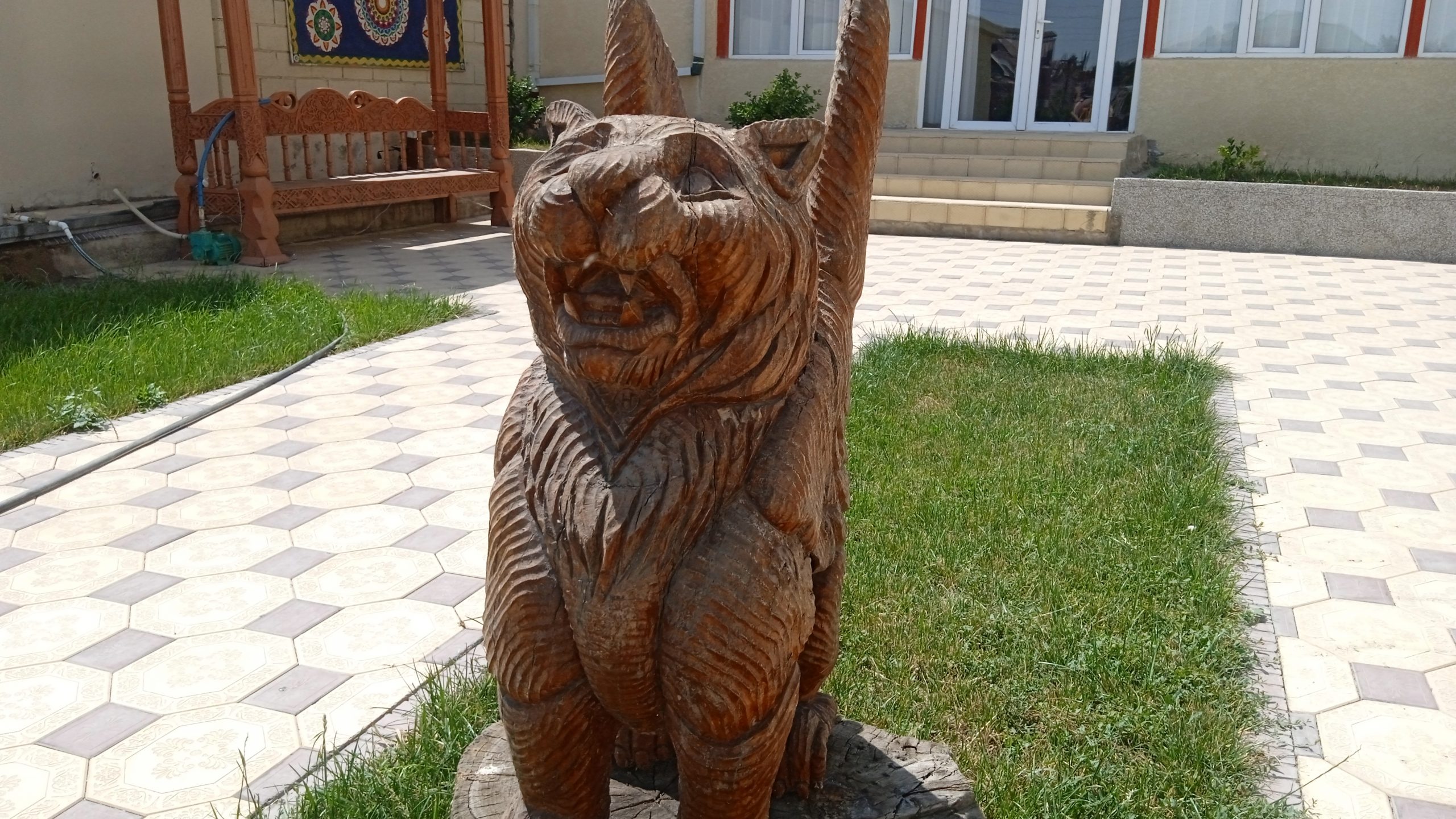 Шери болдор