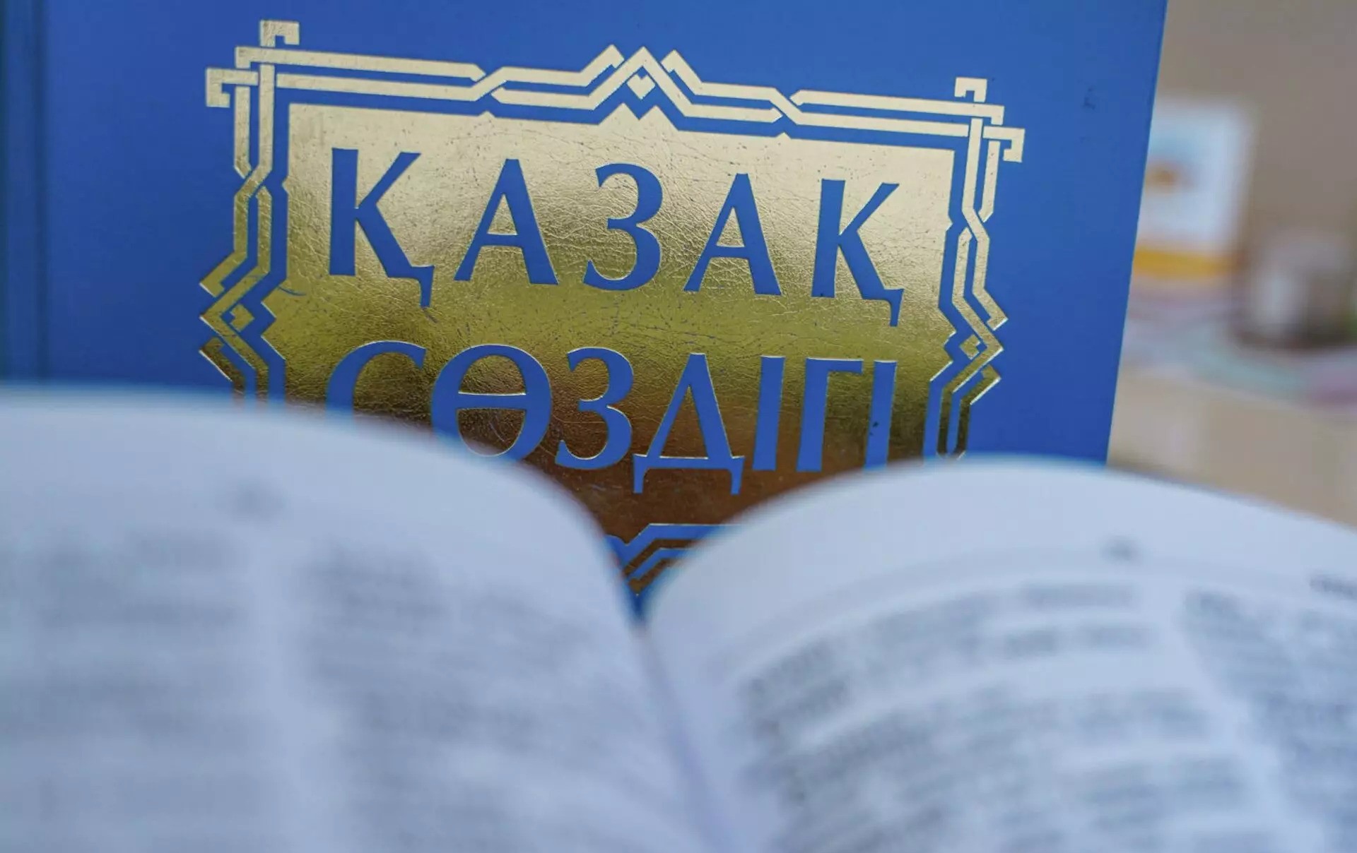 Казахстан: как активисты пытаются изменить ситуацию с государственным языком